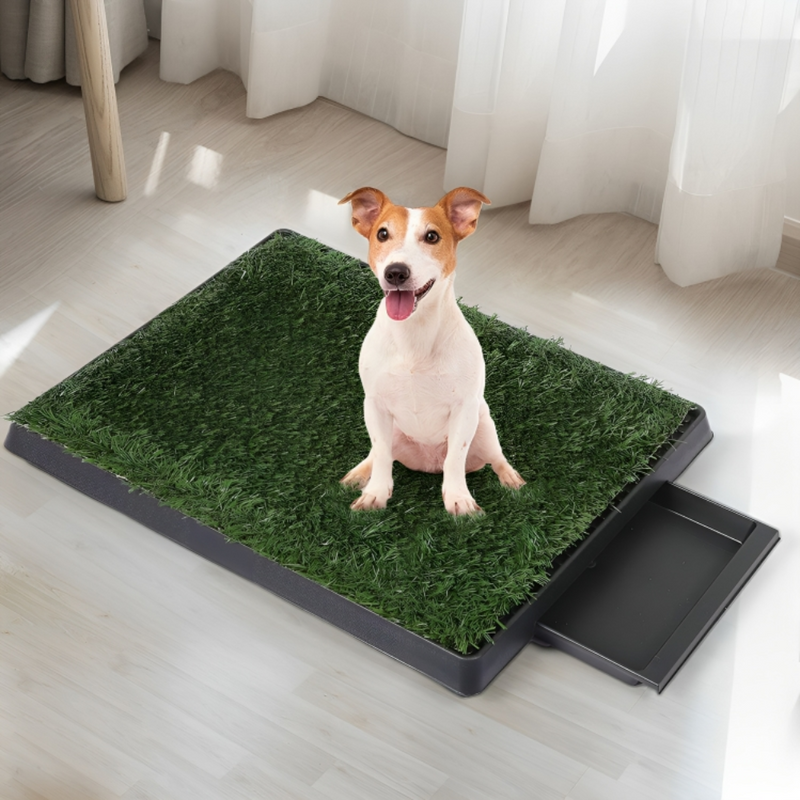 Pet Potty Training Lawn