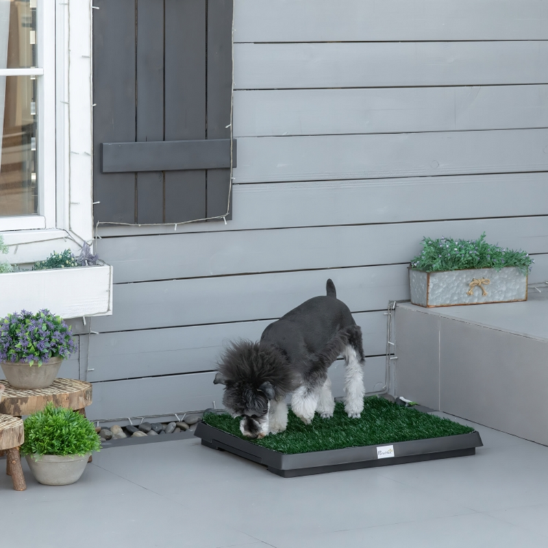 Pet Potty Training Lawn